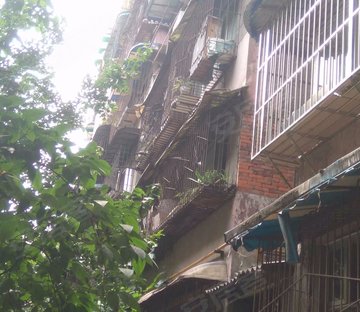 澄江街5号小区