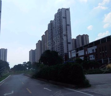 东湖映月