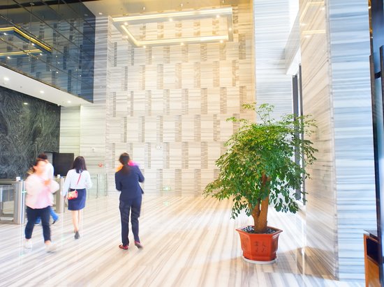 云南映象写字楼 