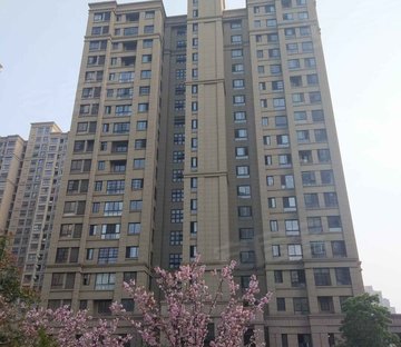 禹洲华侨城(三期)枫园