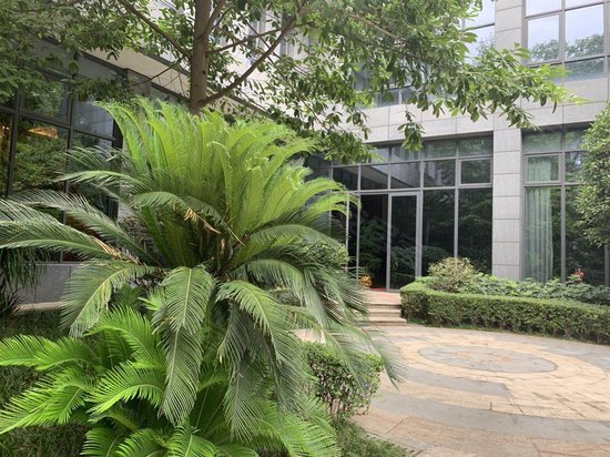 成都国际总部经济区