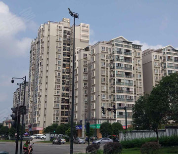 红树林