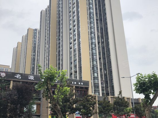 天府国际社区(商住楼) 