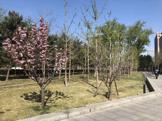 领先基业研发楼 