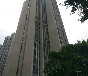保利香雪