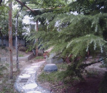 科馨别墅