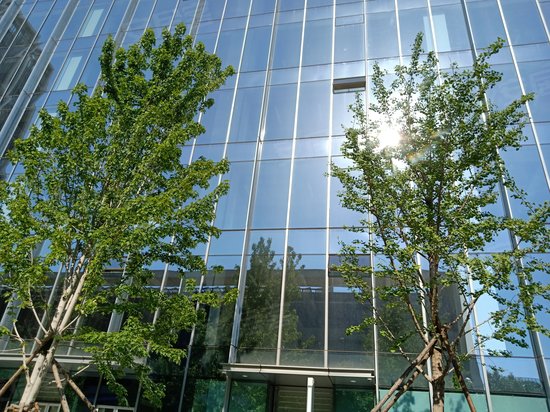 保利佲悦大都汇 