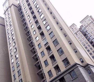 新城金郡