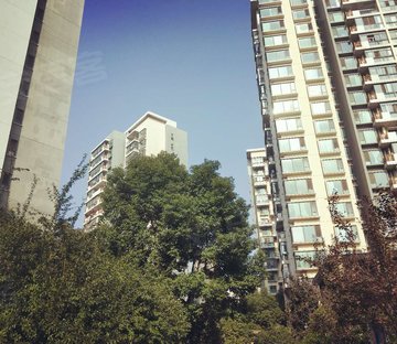 华地森林湖