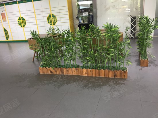 百家汇科技社区 