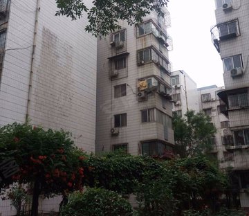 花园新村(金水) 商业配套齐全 朝南 交通便利