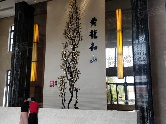 复地黄龙和山(商住楼) 