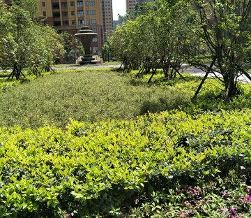 华南城紫荆名都(一期)馨园