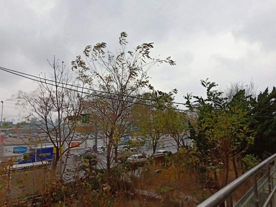 励智少儿培训大厦 