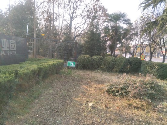 旌旗电子科技产业园 