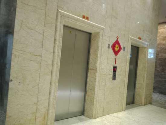 红豆杉科技大厦 