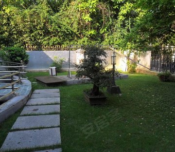 锦绣香江郁金香园