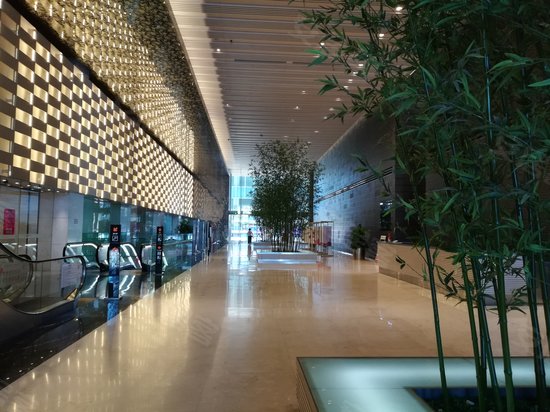 泰达MSD写字楼A区 