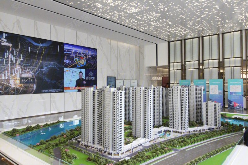 德信金科泊岸江宸轩(新房)