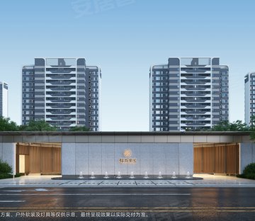 锦尚紫兰