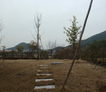 青城山语间