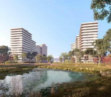 新发中鹰黑森林