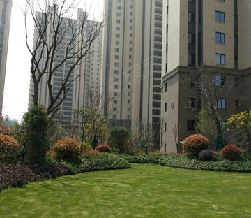 万科城