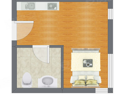 1室0厅 30.10平米户型图