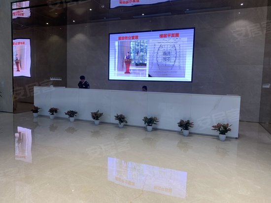 杏林湾商务运营中心 