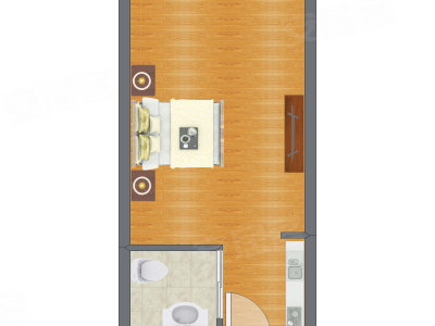 1室0厅 46.26平米