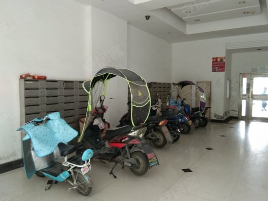 华盛格林雅地公寓楼 