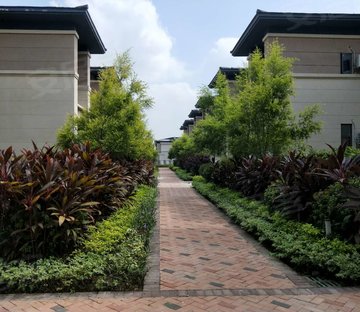 合景誉山国际(别墅)