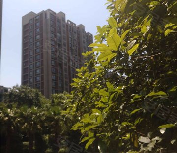 亲亲家园幸福里
