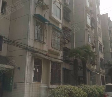 体育南村
