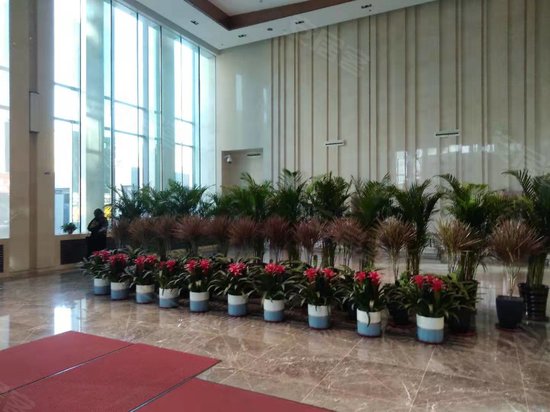 宝雍阁金色东方 