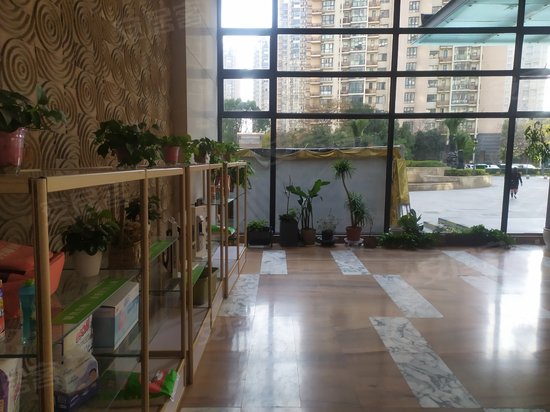 雅戈尔国际中心 