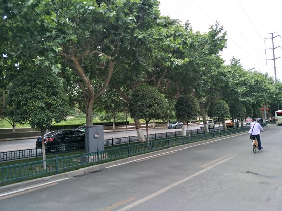 残疾人服务中心办公大楼 