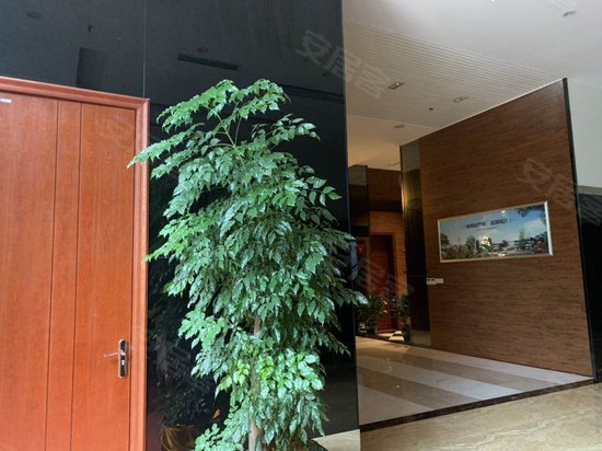 成都国际总部经济区 