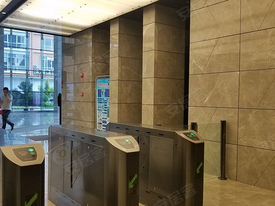 金苹果国际商务 