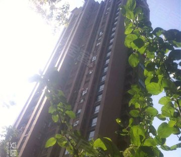 金沙湖小区图片