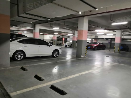 天之骄子生活新天地 