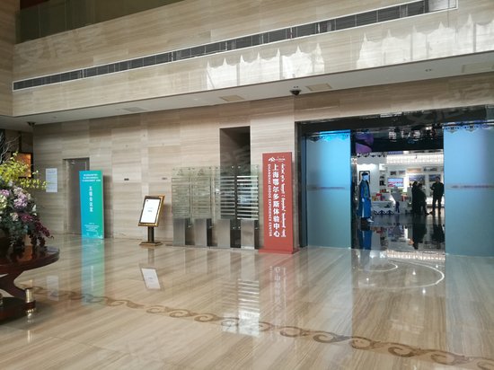 鄂尔多斯艾力大厦 