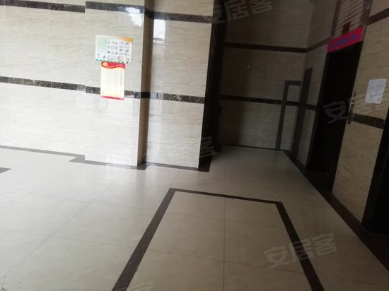 圣达国际阳光5米6 