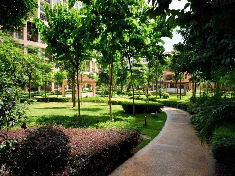 艾美国际(新房)