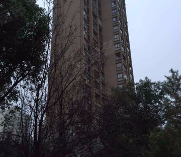 三花现代城金兰苑