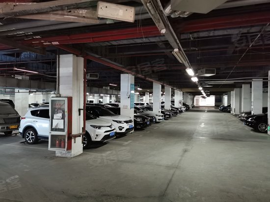 上海新体育广场 