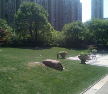 金沙湖小区图片