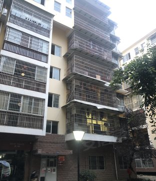 西班牙森林