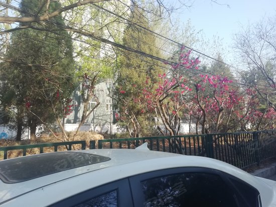 HOMEX五道口加速器 