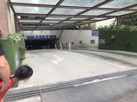 世豪瑞丽办公楼 